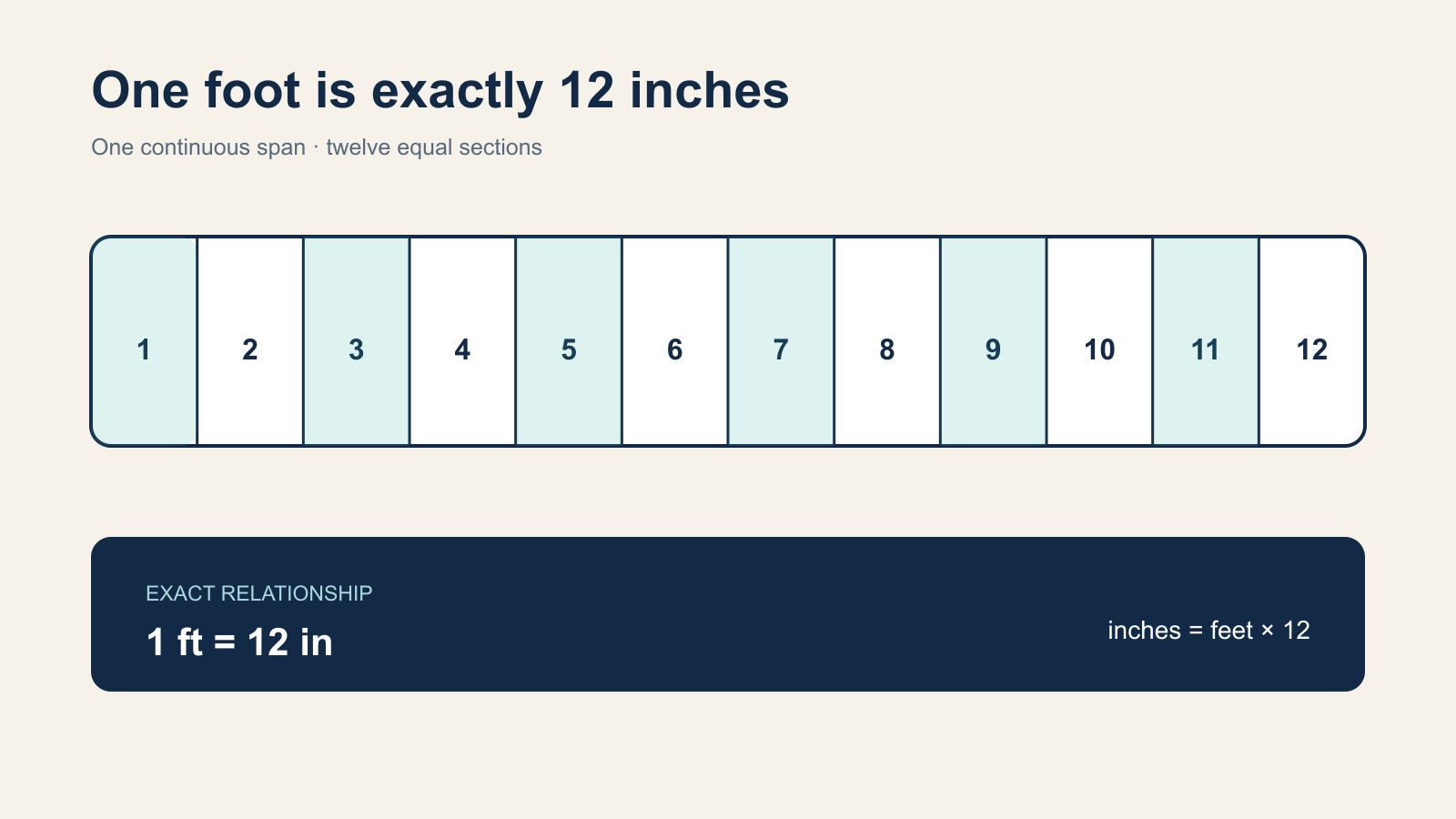 A one-foot span divided into twelve equal one-inch sections